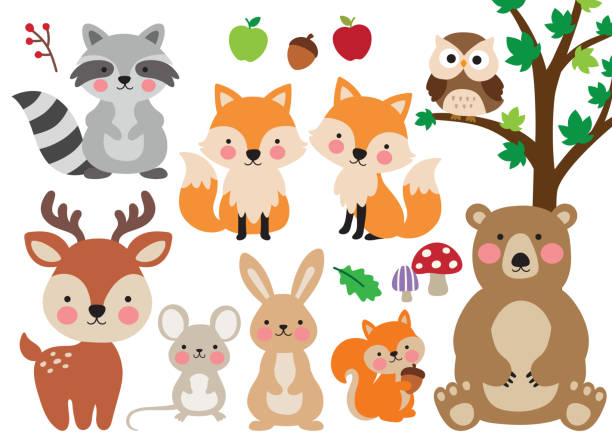 Woodland Forest Animals Vector Illustration Stock Illustration - Download  Image Now - Fox, Rabbit - Animal, Animal - iStock