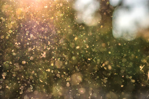 istock air polluted by dust and pollen 1396794044