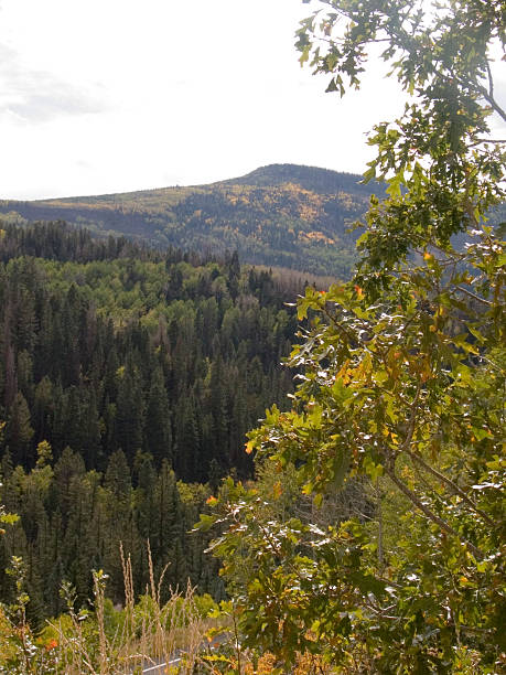istock Autumn Mountain Overlook - View 1 139679477