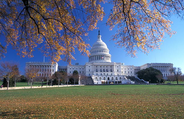 Capitol w Waszyngton – zdjęcie