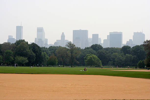 skyline della città di New York con Central Park - foto stock