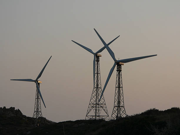 windfarm - conservational 뉴스 사진 이미지