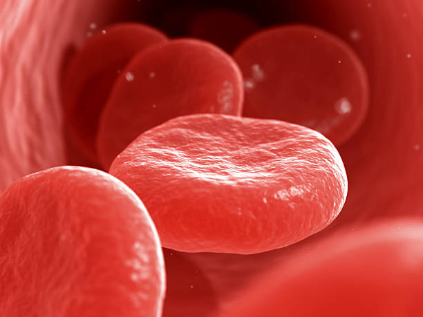 An extreme closeup of blood cells stock photo