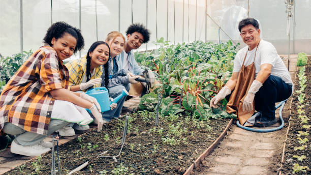 Teenagers learn about vegetable gardening A garden specialist is teaching a group of students in a vegetable plot. community garden stock pictures, royalty-free photos & images