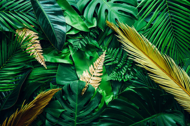 istock Tropical palms and monstera and fern leaf background. 1396807713