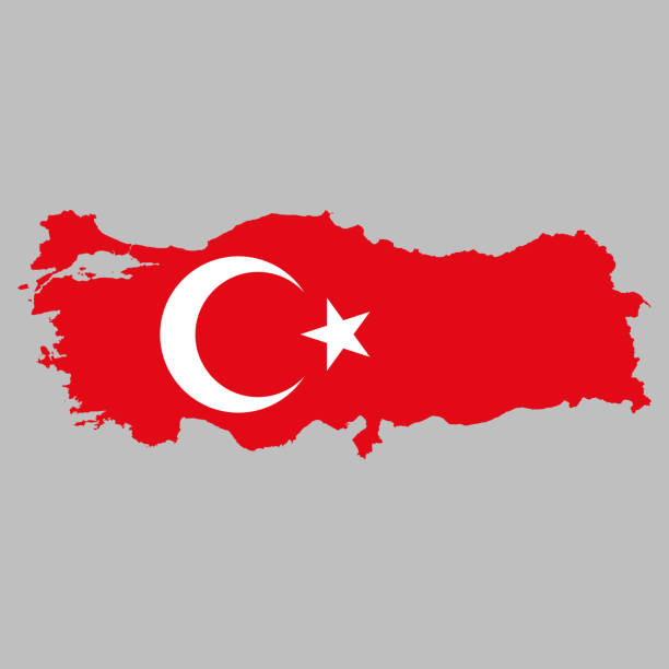 Turkey flag inside map borders Turkey flag inside national map borders vector illustration turkey tattoo stock illustrations