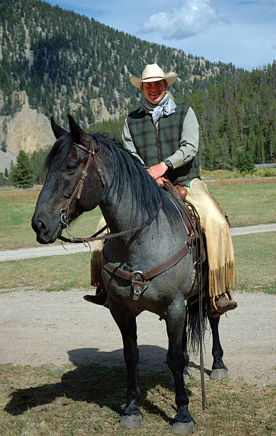 istock Cowboy on Blue Roan Horse 139680992
