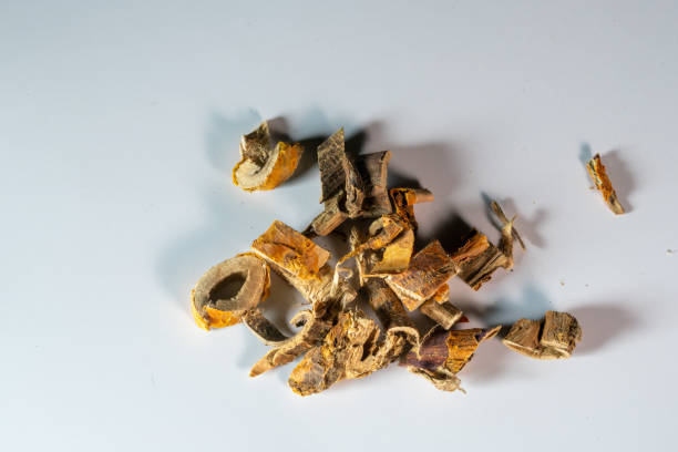 白い背景に白い桑の漢方薬の根皮 - astragalus chinese medicine root plants ストックフォトと画像