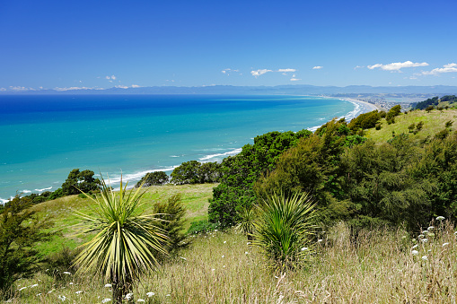 Panorama of Ohope Beach, Bay of Plenty, New Zealand