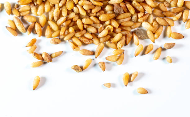 istock chinese medicine Platycladi seed on white background 1396814241