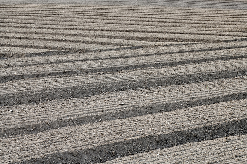 Furrows in a newly plowed field