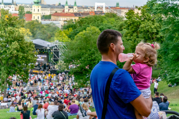 le public d’un concert de rock - crowd popular music concert music festival people photos et images de collection