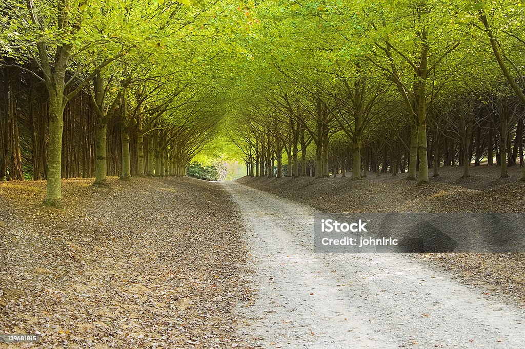 Country Road Autumn Stock Photo