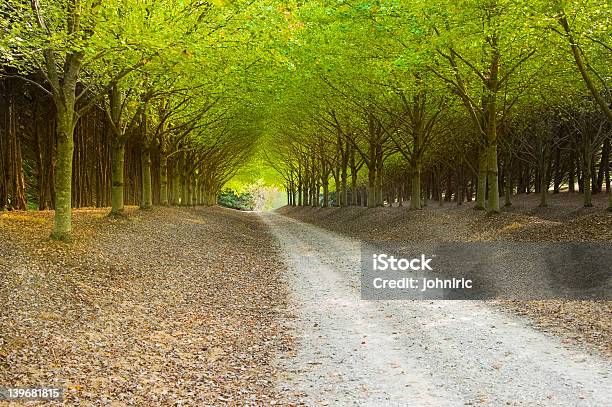 Country Road Stock Photo - Download Image Now - Autumn, Car, Color Image