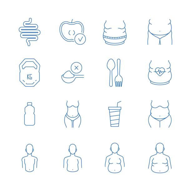 ilustrações de stock, clip art, desenhos animados e ícones de overweight icons. fats stages diet waist problems fitting belly garish vector illustration templates - abdomen abdominal muscle muscular build beautiful