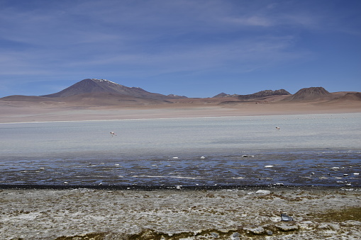 Lake between the mountains, with pink flamingo. Off-road tour on the salt flat Salar de Uyuni in Bolivia.