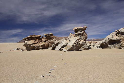 The famous stone tree rock formation (Arbol de Piedra) in the Siloli desert in the region of the Uyuni Salt Flat, Bolivia, South America.