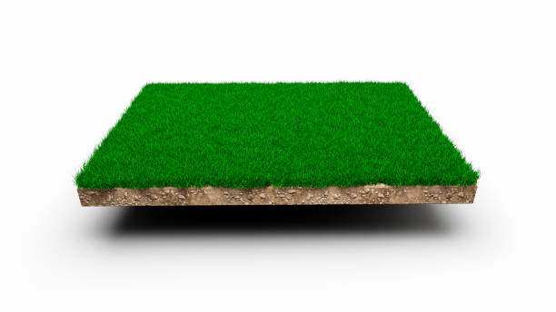 istock Square of green grass field on background 3D Illustration 1396821368