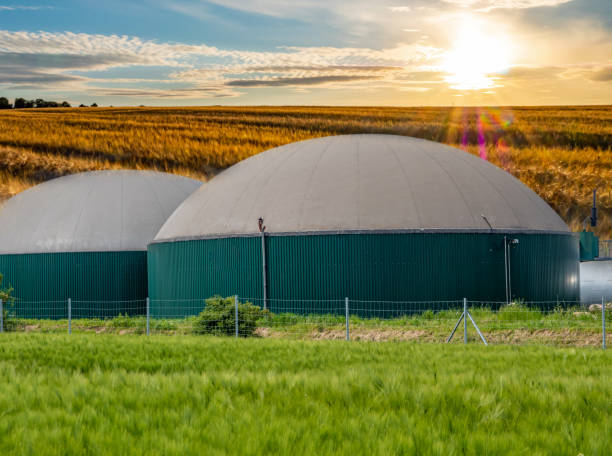 istock Biogas plant at sunrise with grain field 1396824182