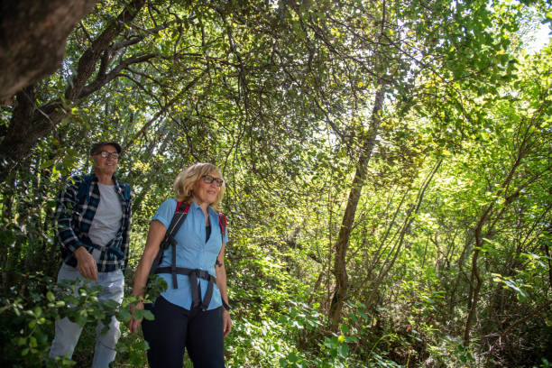 istock Seniors hiking in the forest 1396825864