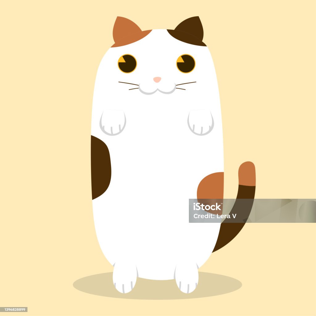 My Image 2