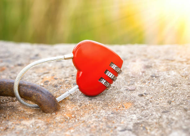 A red Valentine's heart shape sits on an old weathered wood plank underneath western horse tack equipment.