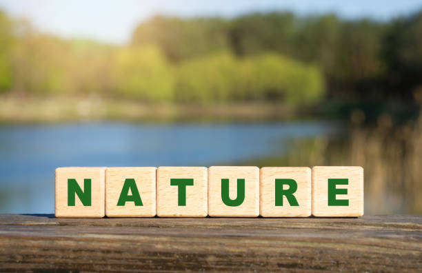 word nature made from wooden blocks outdoors - organic single word environment block imagens e fotografias de stock