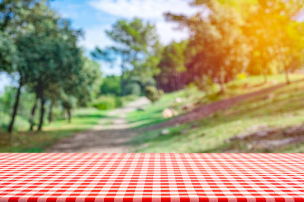istock Picnic table with checkered tablecloth and woodland at background 1396834293