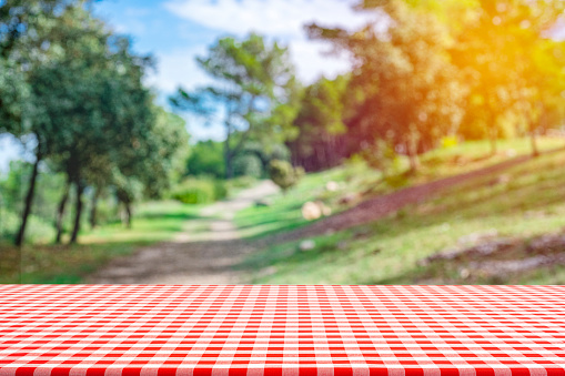 Close up view of a picnic table with red and white checkered tablecloth shot against defocused natural parkland. Focus on foreground