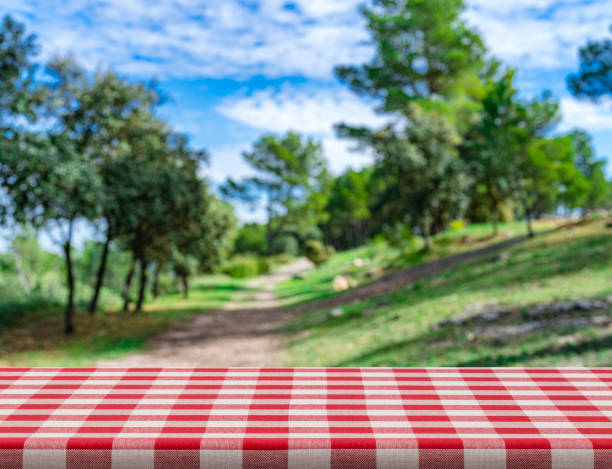 istock Checkered tablecloth on picnic table and woodland at background 1396834369