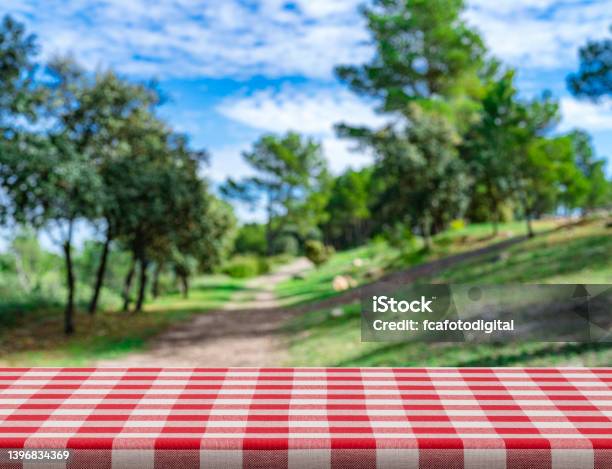 Checkered Tablecloth On Picnic Table And Woodland At Background Stock Photo - Download Image Now