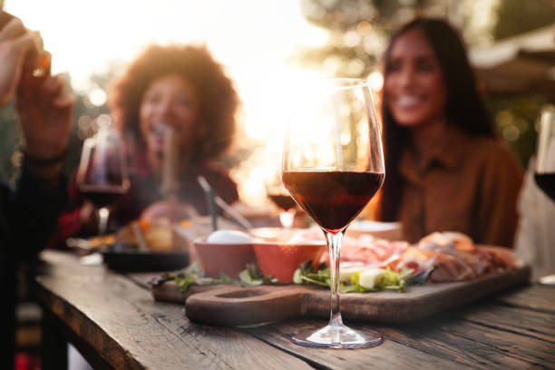 grupo de amigos divirtiéndose en la cena de barbacoa en el restaurante del jardín - personas multirraciales animando el vino tinto sentados afuera en la mesa del bar - reunión social, juventud y concepto de estilo de vida de bebidas - sentarse a comer fotografías e imágenes de stock