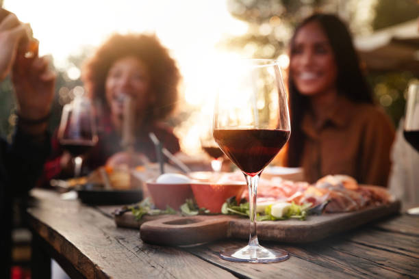 ガーデンレストランでのバーベキューディナーで楽しんでいる友人のグループ - バーテーブルで外に座って赤ワインを応援する多人種の人々 - 社交的な集まり、若者と飲み物のライフスタイ� - 食前酒 ストックフォトと画像