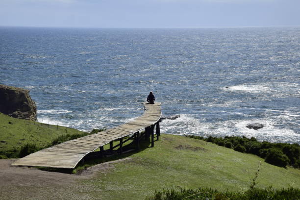 istock Muelle de las Almas (Dock of Souls) at Cucao - Chiloe Island, Chile 1396836572