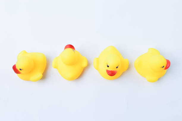 istock Toy ducks heading with different directions. Business innovation, unique and think different concept. 1396836664