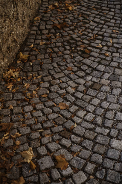 istock Paved sidewalk covered in autumn leaves 1396839141