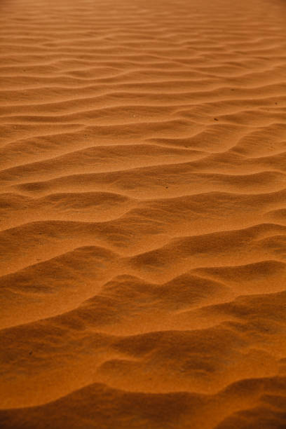 istock Extreme Close-up of Desert wave patterns 1396839459