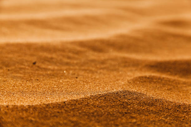 istock Extreme Close-up of Desert wave patterns 1396839471