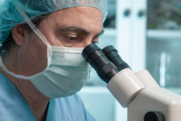 istock Forensic scientist, histopathologist or biotechnologist working in the laboratory 1396841331