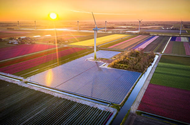 aerial view of solar panels surrounded by tulip fields and modern windmill turbines early in the morning in Holland. Clean energy concept