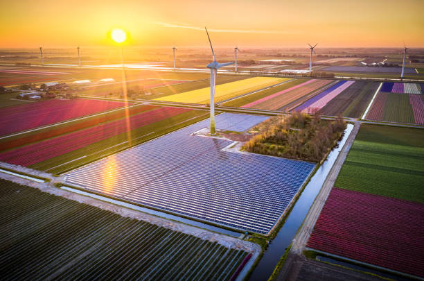 Solar energy and wind power stations aerial view of solar panels surrounded by tulip fields and modern windmill turbines early in the morning in Holland. Clean energy concept netherlands windmill stock pictures, royalty-free photos & images