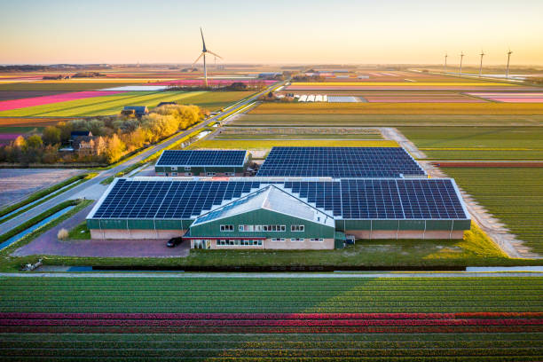 widok z lotu ptaka na farmę tulipanów w holandii - noordoostpolder zdjęcia i obrazy z banku zdjęć