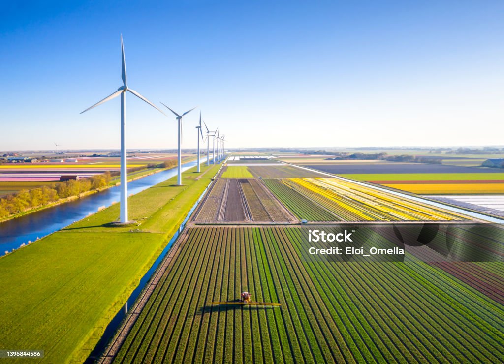 Agricultural crops sprayer in a field of tulips during springtime seen from above aerial view of agricultural crops sprayer in a field of tulips during springtime in Holland in a beautiful morning with clear sky and a modern windmills Wind Turbine Stock Photo