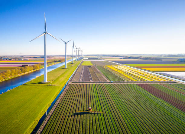 Agricultural crops sprayer in a field of tulips during springtime seen from above aerial view of agricultural crops sprayer in a field of tulips during springtime in Holland in a beautiful morning with clear sky and a modern windmills netherlands windmill stock pictures, royalty-free photos & images