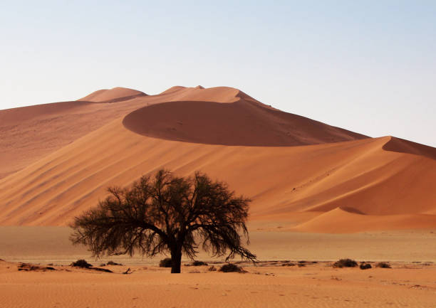 istock Beautiful Namib Desert pictures 1396844601