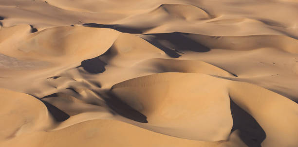 istock Beautiful Namib Desert pictures 1396844612