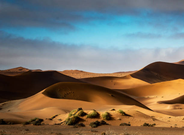 istock Beautiful Namib Desert pictures 1396844639