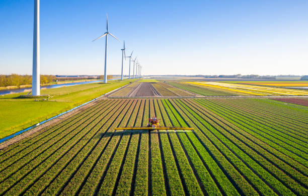 landwirtschaftliche spritzen in einem tulpenfeld im frühling von oben gesehen - clear sky nature landscape field stock-fotos und bilder