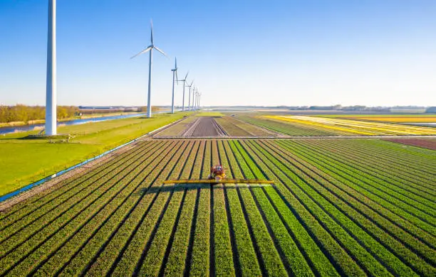 Photo of Agricultural crops sprayer in a field of tulips during springtime seen from above