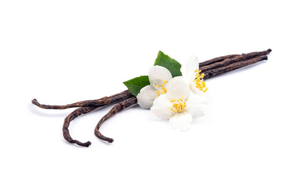 istock Vanilla stick with jasmin flower 1396844700